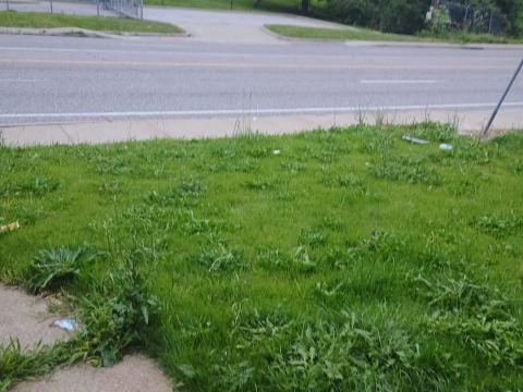 Yard photo for a volunteer request in Saint Louis, MO.