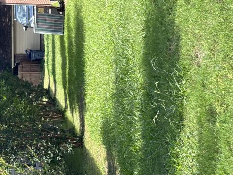 Yard photo for a volunteer request in Mckinney, TX.