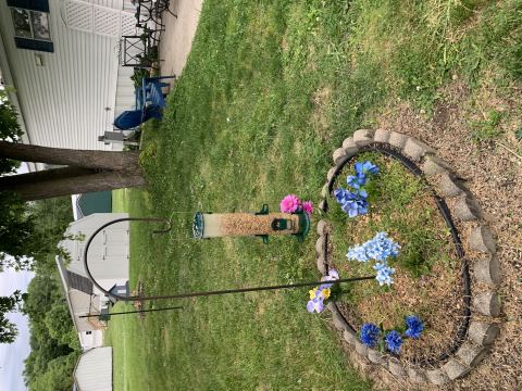 Yard photo for a volunteer request in Buckeye Lake, OH.