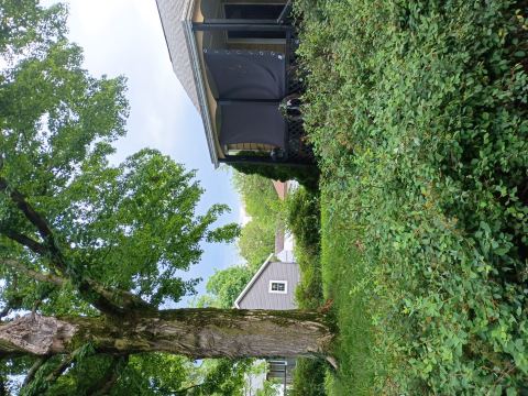 Yard photo for a volunteer request in Columbus, OH.
