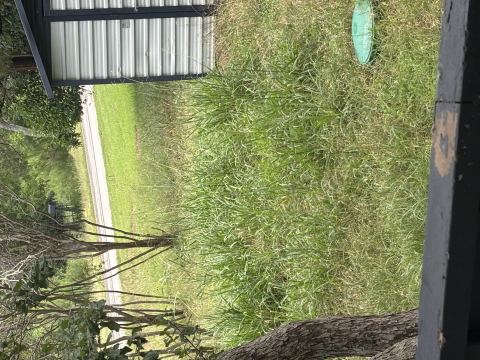 Yard photo for a volunteer request in Temple, TX.