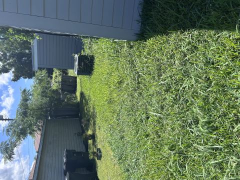 Yard photo for a volunteer request in Bossier City, LA.