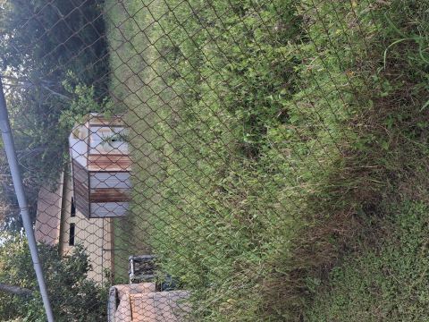Yard photo for a volunteer request in Azle, TX.