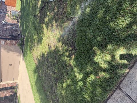 Yard photo for a volunteer request in Cypress, TX.