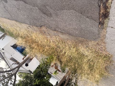 Yard photo for a volunteer request in Los Angeles, CA.
