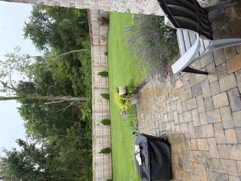 Yard photo for a volunteer request in Carthage, MO.