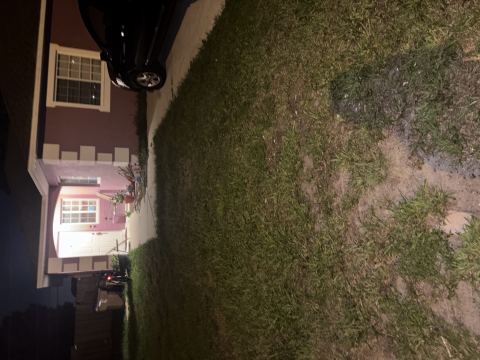 Yard photo for a volunteer request in Kissimmee, FL.