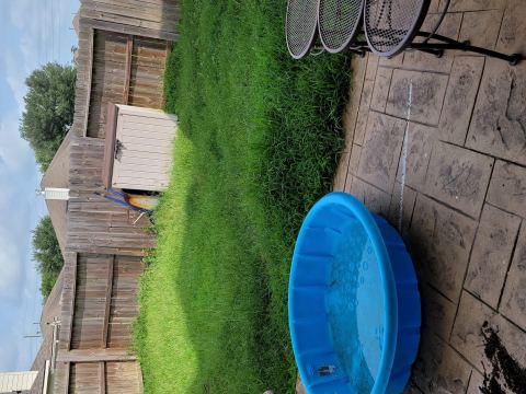 Yard photo for a volunteer request in Humble, TX.