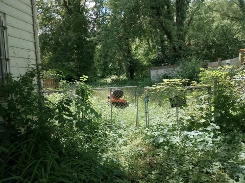 Yard photo for a volunteer request in Rockford, IL.