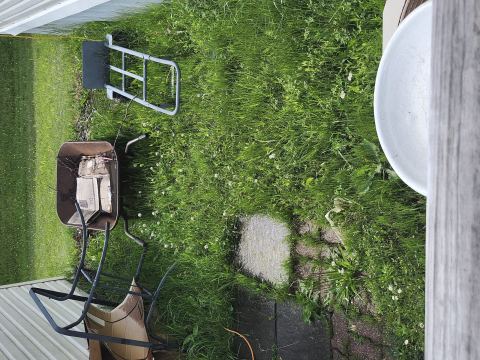 Yard photo for a volunteer request in Port Huron, MI.