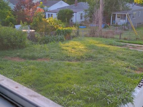 Yard photo for a volunteer request in Saint Louis, MO.