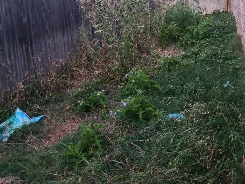 Yard photo for a volunteer request in Belton, TX.