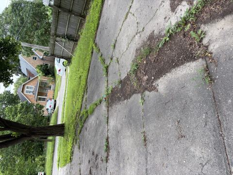 Yard photo for a volunteer request in Lansing, MI.