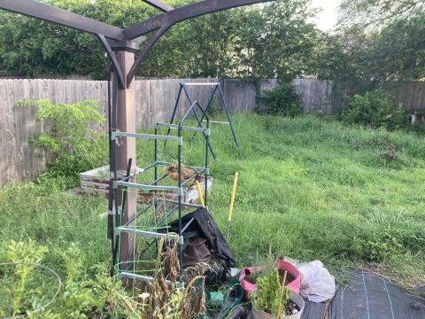 Yard photo for a volunteer request in San Antonio, TX.
