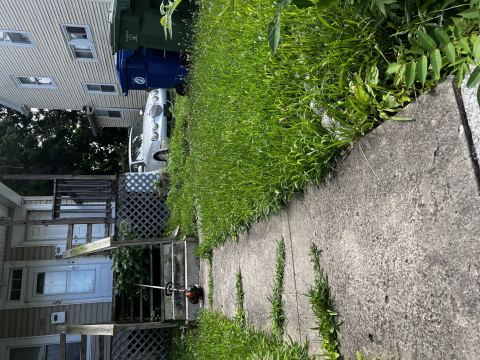 Yard photo for a volunteer request in Baltimore, MD.