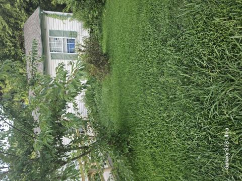 Yard photo for a volunteer request in Hampton, VA.