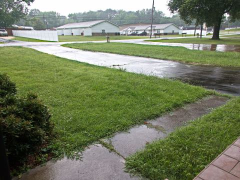 Yard photo for a volunteer request in Paris, TN.
