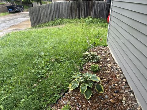 Yard photo for a volunteer request in Kansas City, MO.