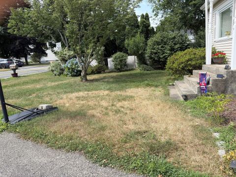 Yard photo for a volunteer request in Cumberland, RI.