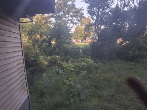 Yard photo for a volunteer request in Shreveport, LA.