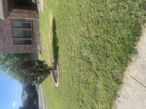 Yard photo for a volunteer request in Round Rock, TX.
