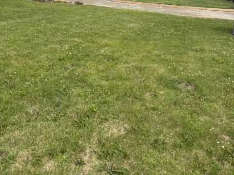Yard photo for a volunteer request in Green Bay, WI.