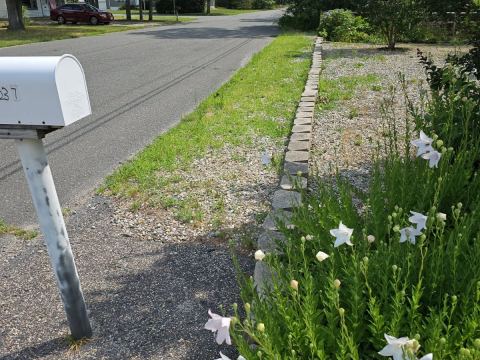 Yard photo for a volunteer request in Forked River, NJ.