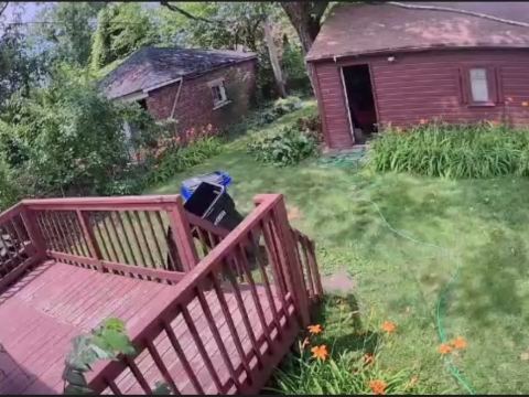Yard photo for a volunteer request in Detroit, MI.