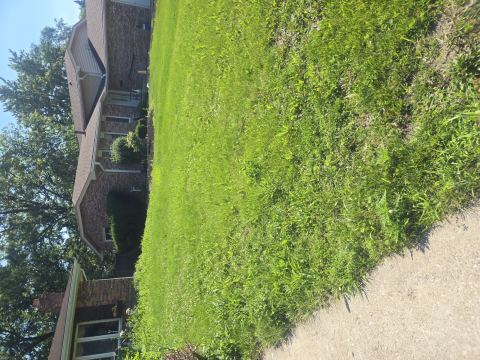 Yard photo for a volunteer request in Tinley Park, IL.