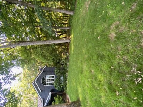 Yard photo for a volunteer request in Lowell, MI.