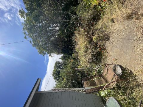 Yard photo for a volunteer request in Guadalupe, CA.
