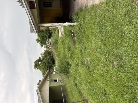 Yard photo for a volunteer request in Lakeland, FL.