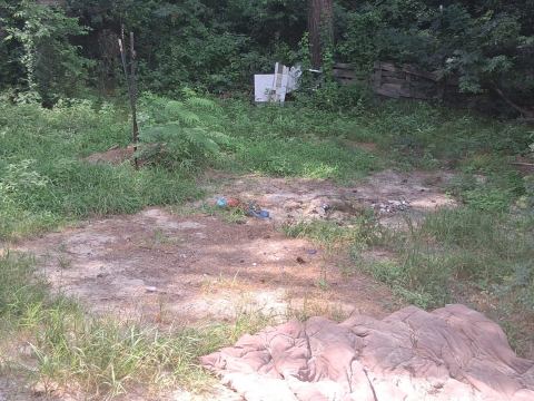 Yard photo for a volunteer request in Nacogdoches, TX.