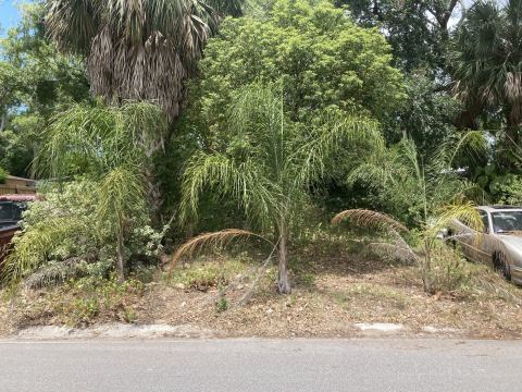 Yard photo for a volunteer request in Largo, FL.