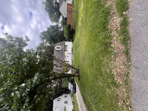 Yard photo for a volunteer request in Owings Mills, MD.