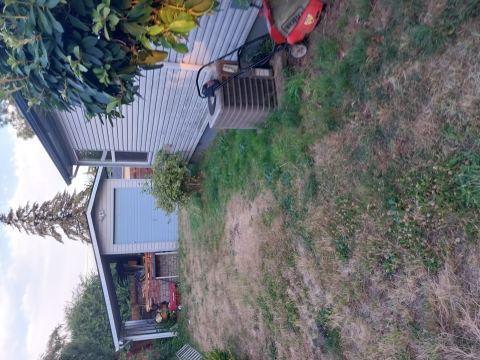Yard photo for a volunteer request in Portland, OR.