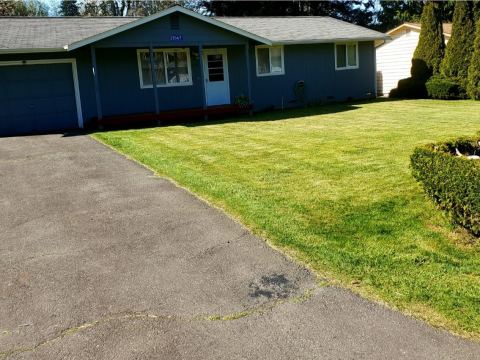 Yard photo for a volunteer request in Kingston, WA.