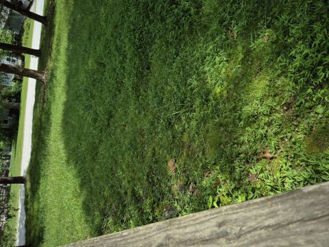 Yard photo for a volunteer request in Rogers, AR.