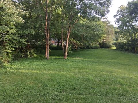Yard photo for a volunteer request in Knoxville, TN.