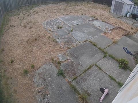 Yard photo for a volunteer request in Hayward, CA.