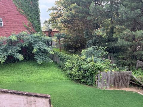 Yard photo for a volunteer request in Atlanta, GA.