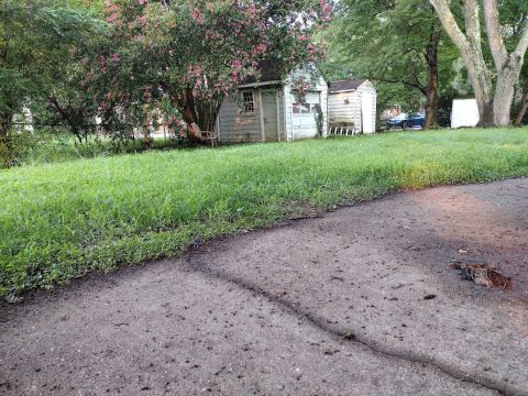 Yard photo for a volunteer request in Richmond, VA.