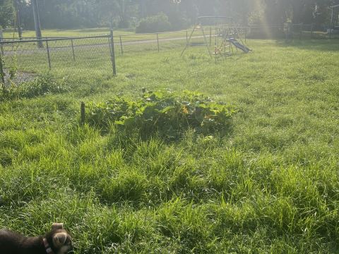 Yard photo for a volunteer request in Stanton, KY.