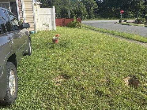 Yard photo for a volunteer request in Charlotte, NC.