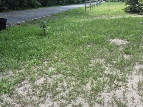 Yard photo for a volunteer request in Pomona Park, FL.