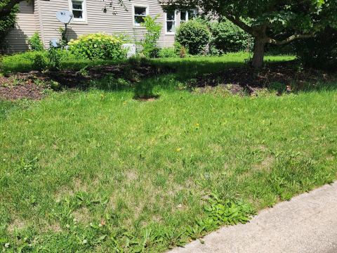 Yard photo for a volunteer request in Fostoria, MI.