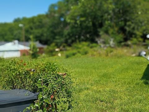 Yard photo for a volunteer request in Greenville, SC.