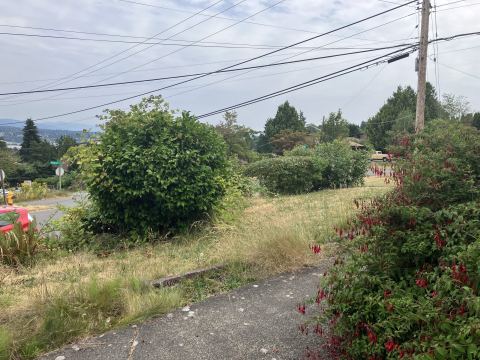 Yard photo for a volunteer request in Seattle, WA.