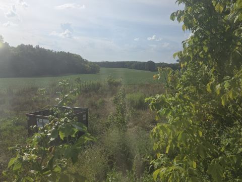 Yard photo for a volunteer request in Marshville, NC.