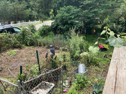 Yard photo for a volunteer request in Wharton, NJ.